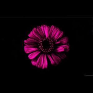 Meet your Posher, Sunshine22